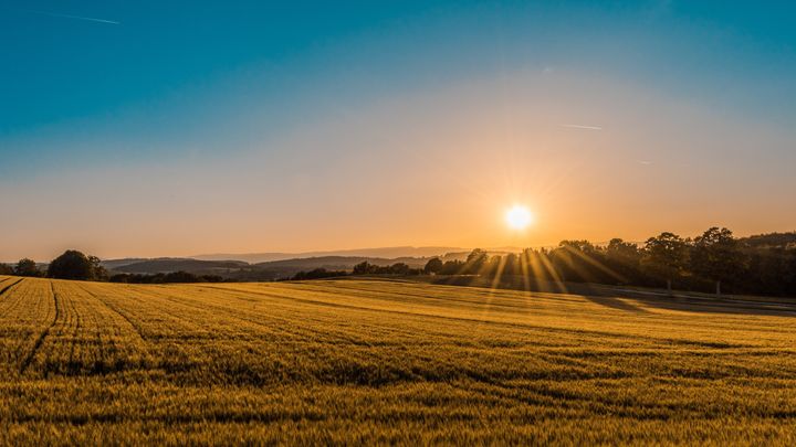 sunrise over a bucolic field